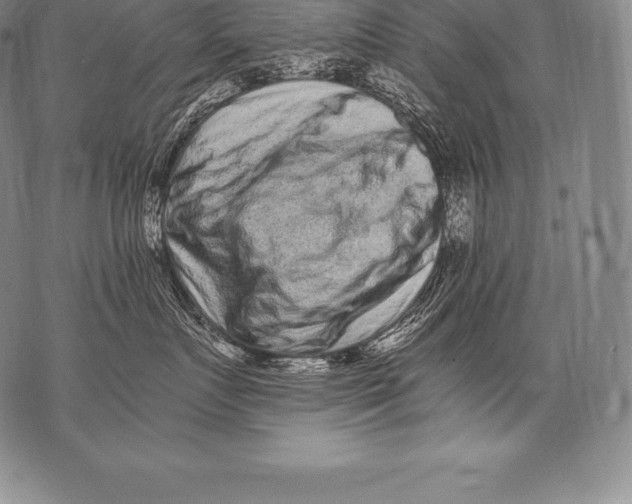 X0000076100719200610152343