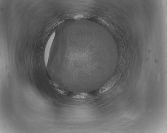 X0000076100720200610152343