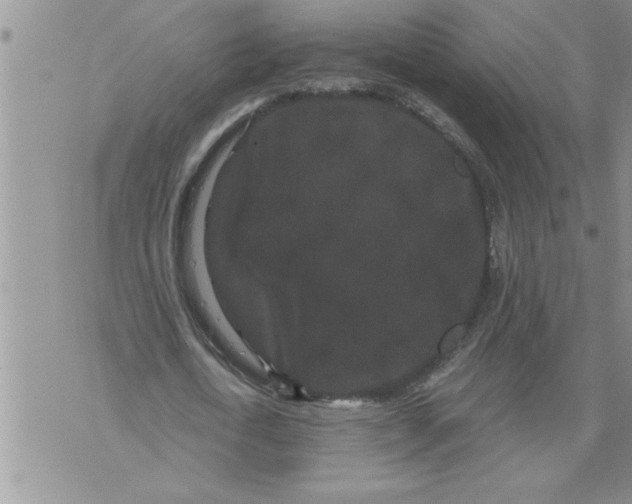 X0000076100722200610152342