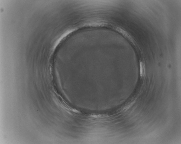 X0000076100723200610152342