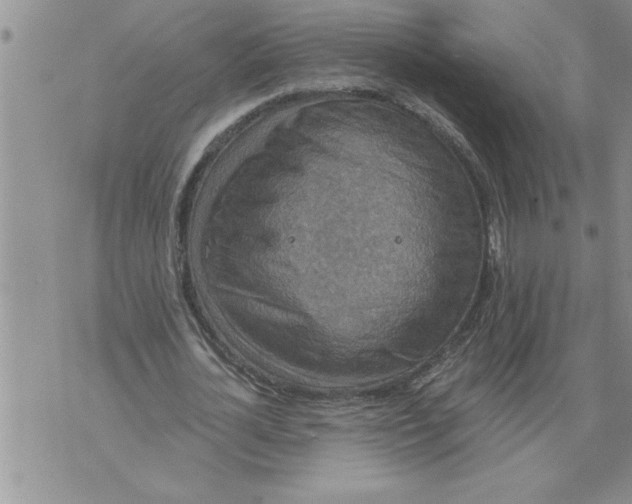 X0000076100724200610152342