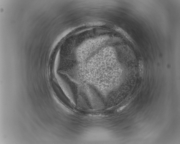 X0000076100726200610152342