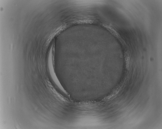 X0000076100729200610152342