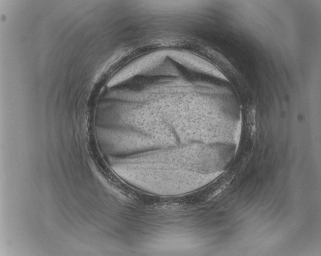 X0000076100730200610152343