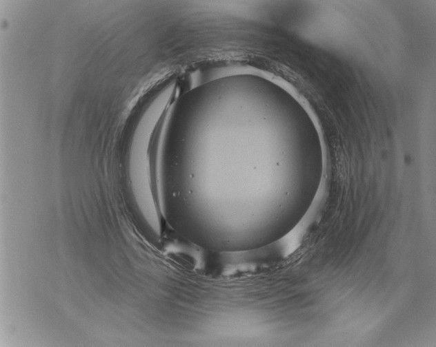 X0000076100731200610152343