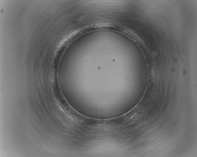 X0000076100732200610152343