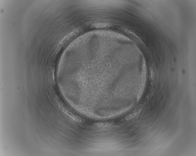 X0000076100733200610152343