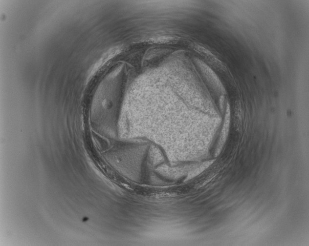 X0000076100734200610152343