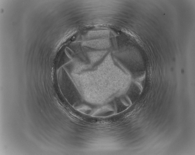 X0000076100735200610152343