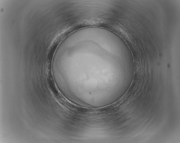 X0000076100736200610152343