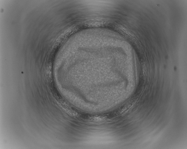 X0000076100737200610152343