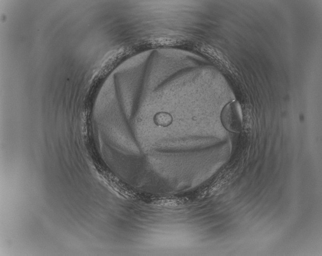 X0000076100738200610152343