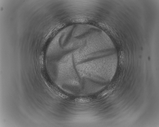 X0000076100739200610152343