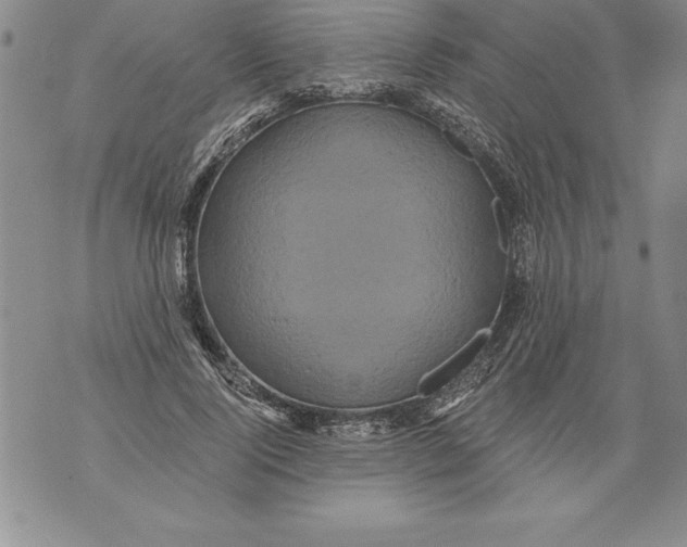 X0000076100740200610152343