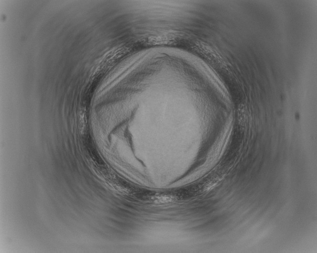 X0000076100741200610152343