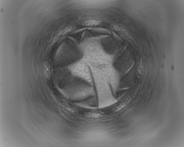 X0000076100743200610152343