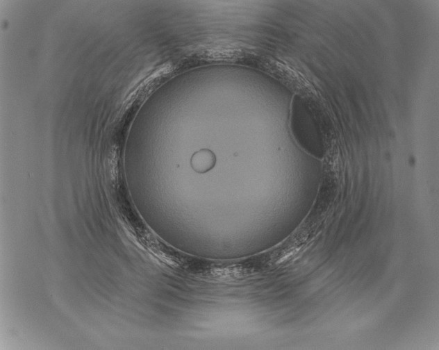 X0000076100744200610152343