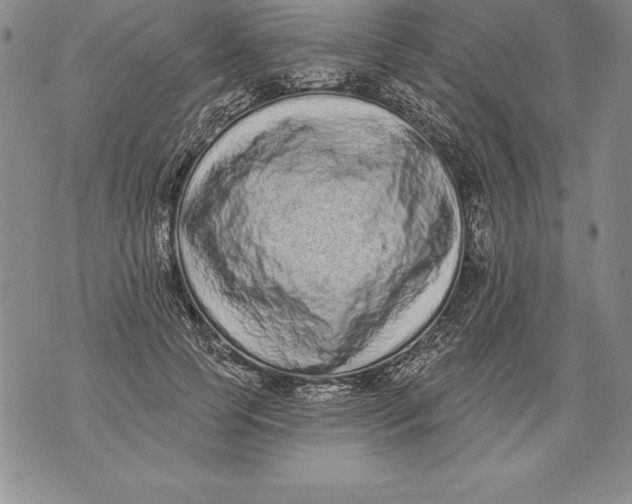 X0000076100745200610152343