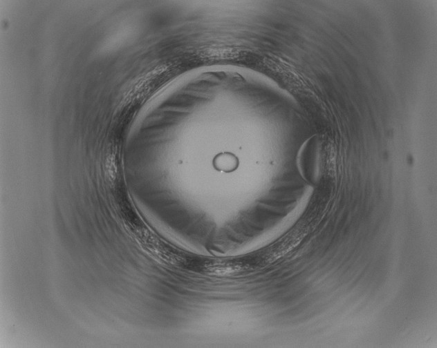 X0000076100746200610152343