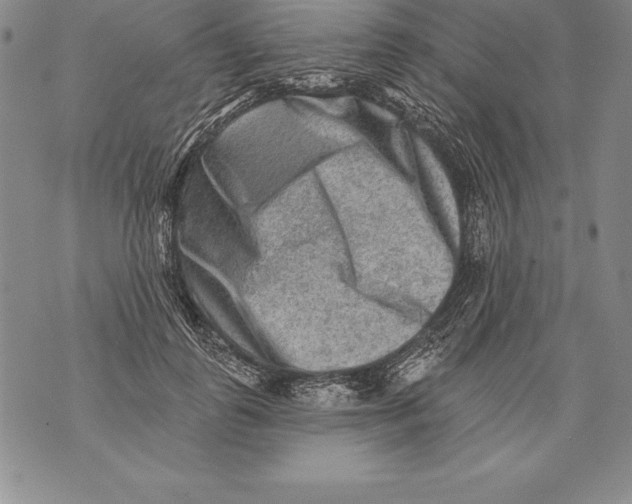 X0000076100747200610152343