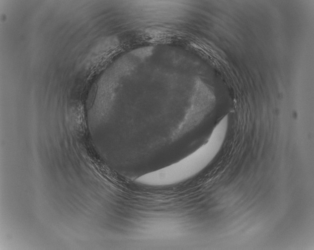 X0000076100748200610152343