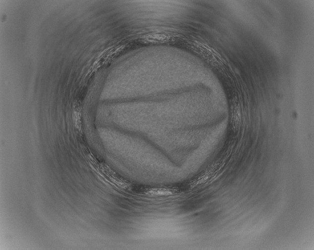 X0000076100749200610152343