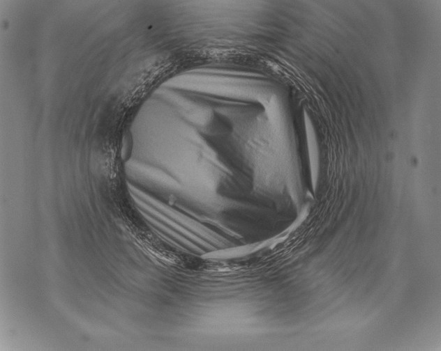 X0000076100750200610152343