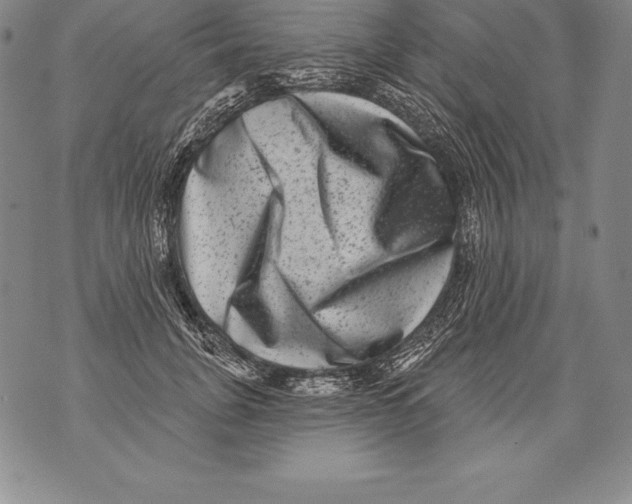 X0000076100751200610152343