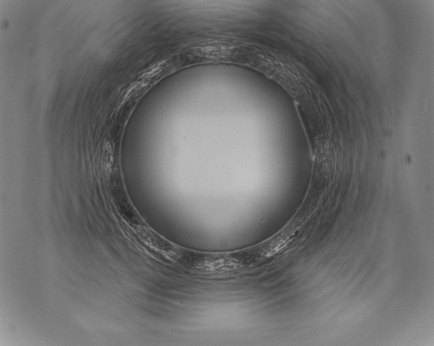 X0000076100752200610152343