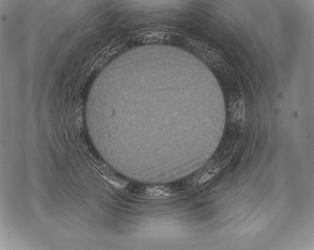 X0000076100753200610152343