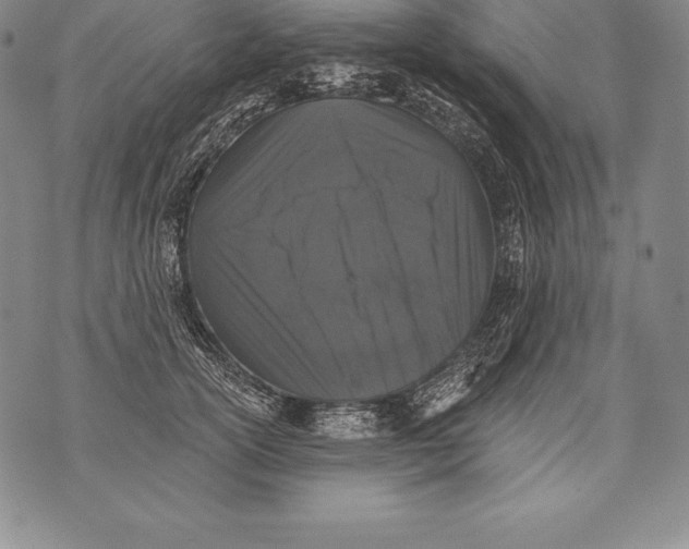 X0000076100754200610152343