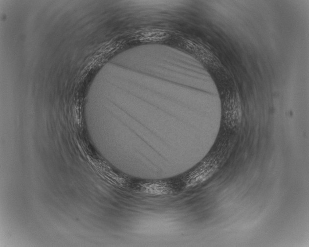 X0000076100755200610152343