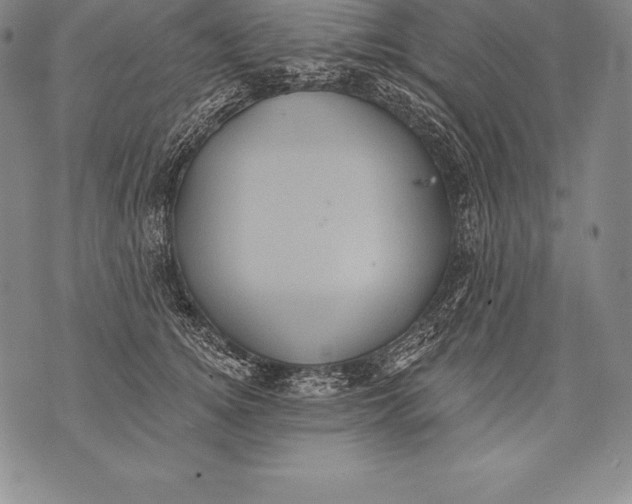 X0000076100756200610152343