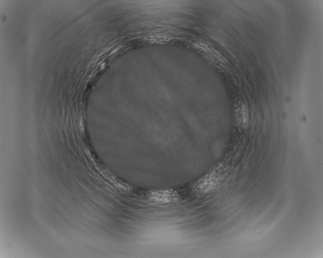 X0000076100757200610152343