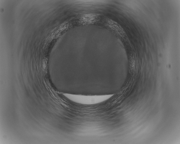 X0000076100759200610152343