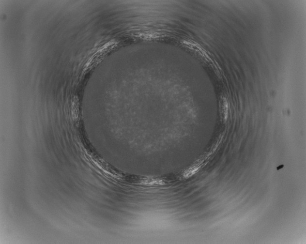 X0000076100760200610152343