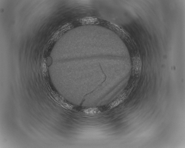 X0000076100761200610152343