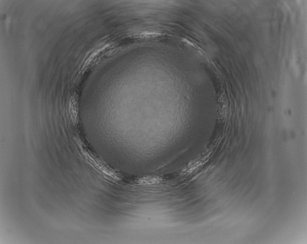 X0000076100762200610152343