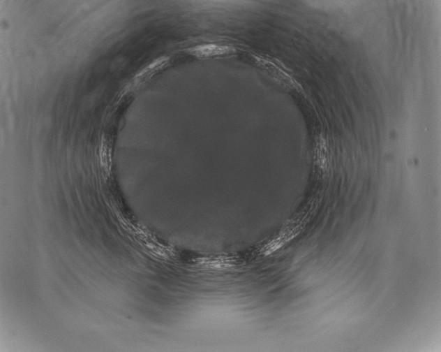 X0000076100763200610152343