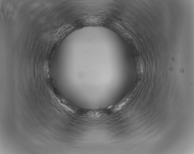 X0000076100764200610152343