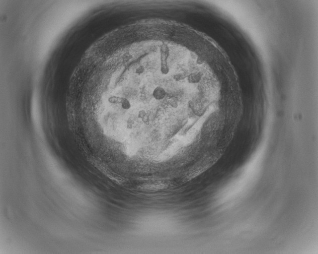 X0000076100765200610152343