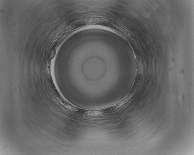 X0000076100766200610152343