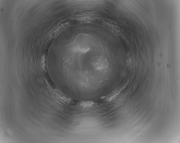 X0000076100767200610152343