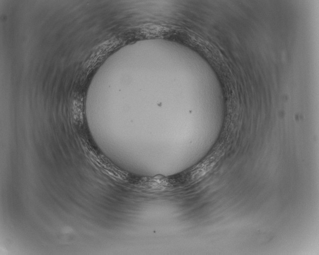 X0000076100768200610152343