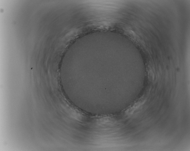 X0000076100769200610152342