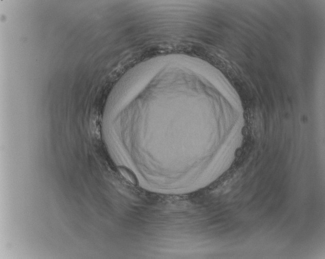 X0000076100770200610152342