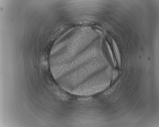 X0000076100771200610152342