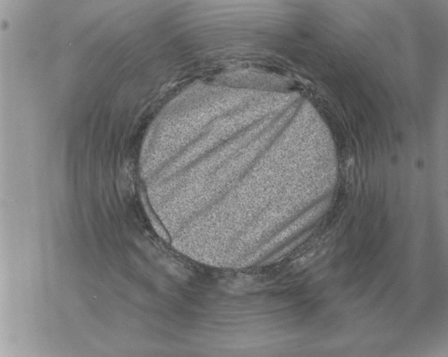 X0000076100772200610152342