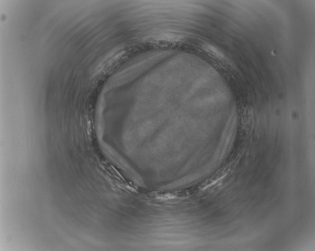 X0000076100774200610152342