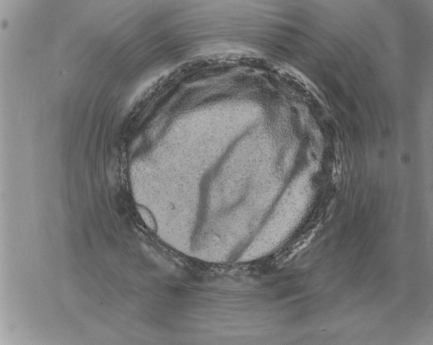 X0000076100775200610152342